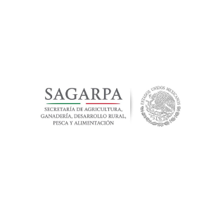 certificación logo